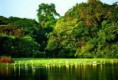 /album/fotogaleria-amazonas2/images-1-jpg9/